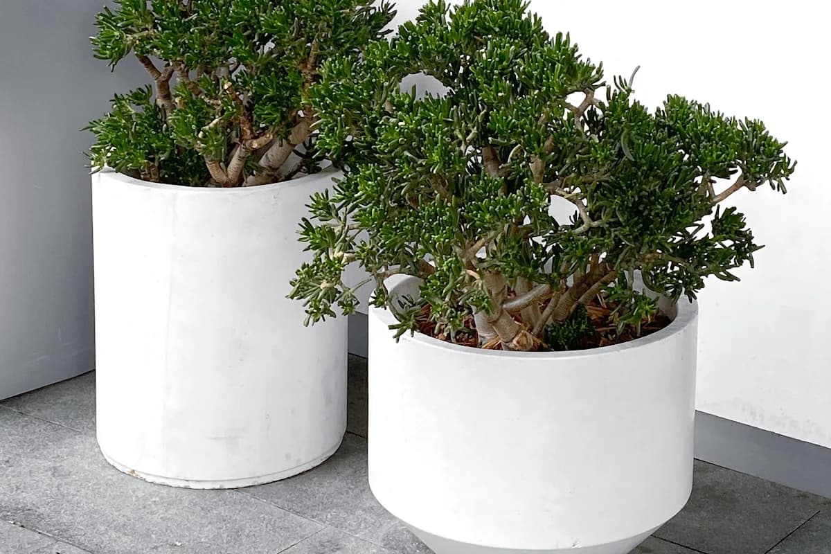 Les nuits du Ramadan à Marrakech : ce que c'est vraiment