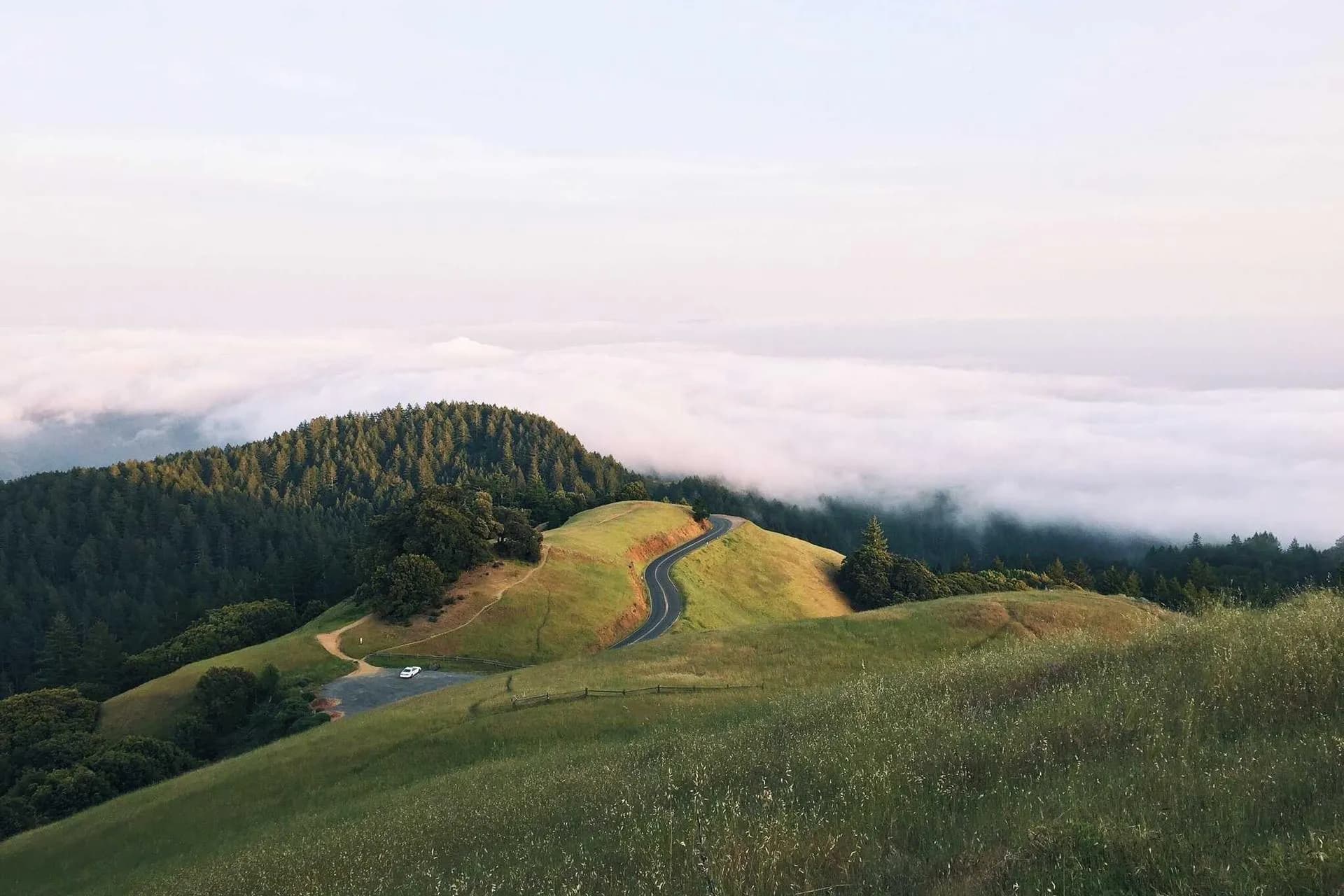 Festival des Roses 2026 — cultural event in Marrakech